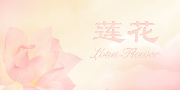 The Lotus: Finding Purity on Earth and Perfection in Heaven