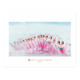 Shen Yun Poster Flower Fairies - Shen Yun Collections